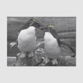 Penguin Colour Splash Seidenpapier