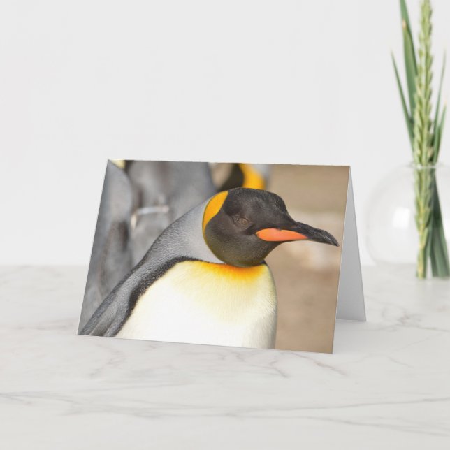 PENGUIN-Faltenkarte Karte (Vorderseite)