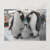 Penguin-Familie