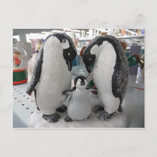 Penguin-Familie Postkarte (Vorderseite)