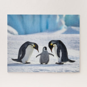 Penguin Family Puzzle
