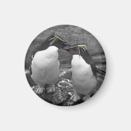 Penguin-Farbenexplosion Magnet