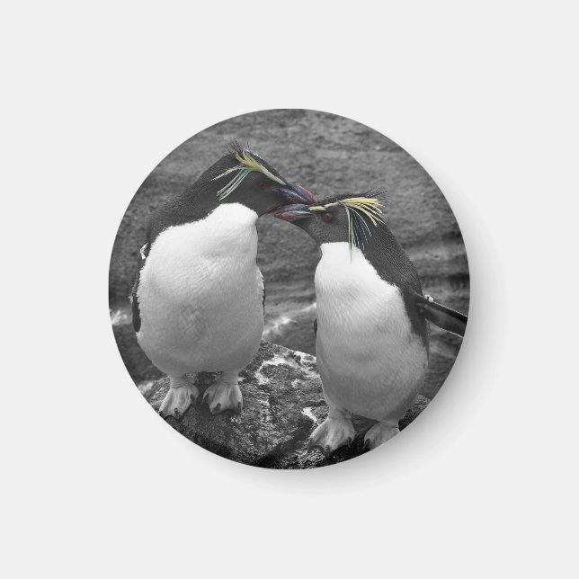 Penguin-Farbenexplosion Magnet (Vorne)