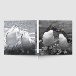 Penguin-Farbenpracht Gästebuch