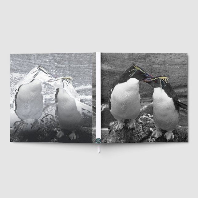 Penguin-Farbenpracht Gästebuch (Voll)