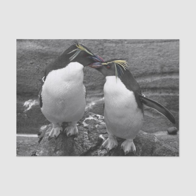 Penguin-Farbenpracht Seidenpapier (Vorderseite)