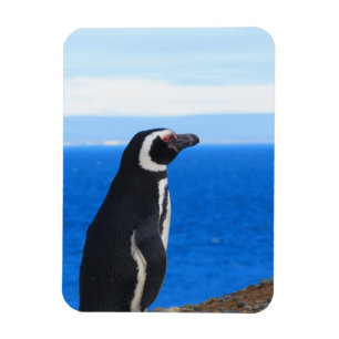 Penguin Flexible Magnet