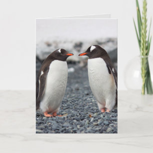 PENGUIN FRIENDSHIP FREUND Grußkarte Karte