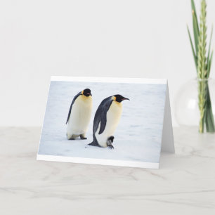 Penguin gefrorene Eisschnevogel-Wetter-süße Tiere Dankeskarte