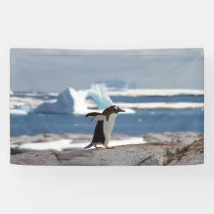 Penguin in front of an ice arch banner