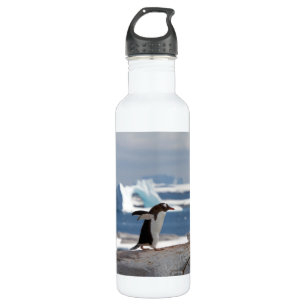 Penguin in front of an ice arch edelstahlflasche