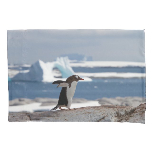 Penguin in front of an ice arch kissenbezug (Vorderseite)