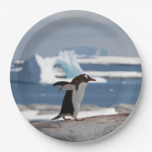 Penguin in front of an ice arch pappteller