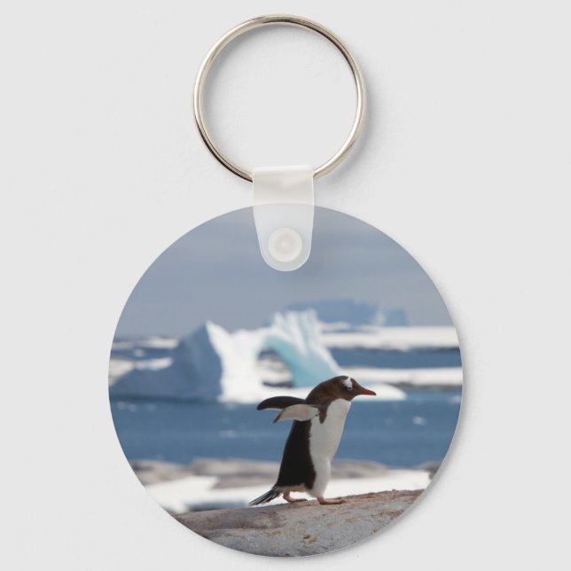 Penguin in front of an ice arch schlüsselanhänger (Vorderseite)