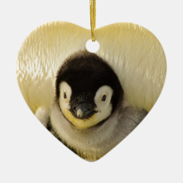 Penguin Keramik Ornament (Vorne)