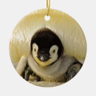 Penguin Keramikornament