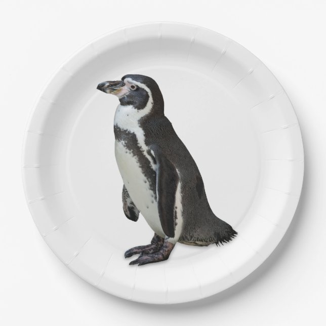 Penguin Pappteller (Vorderseite)