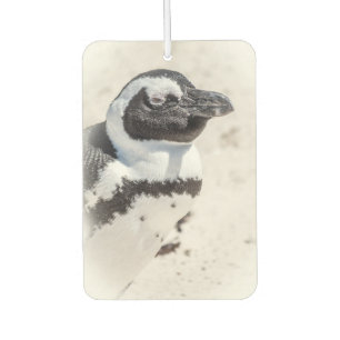 Penguin Portrait Air Freshener Autolufterfrischer