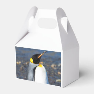 Penguin Portrait Geschenkschachtel