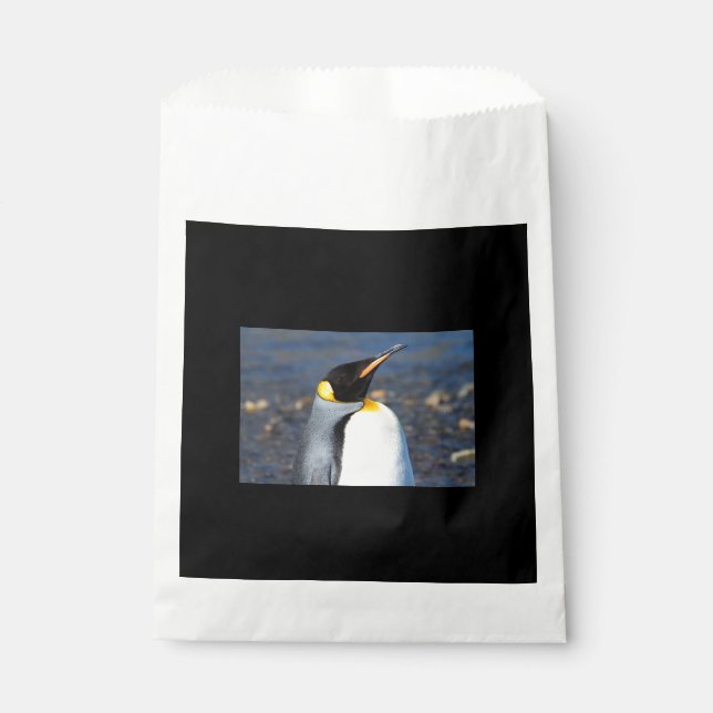 Penguin Portrait Geschenktütchen (Vorderseite)