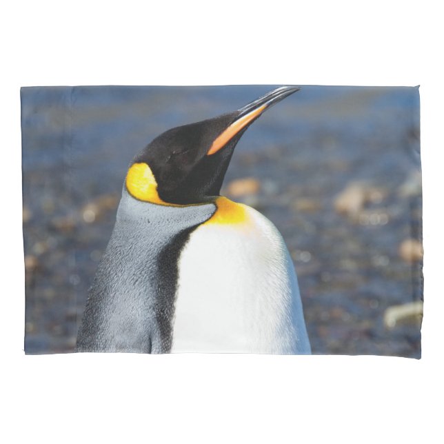 Penguin Portrait Kissenbezug (Vorderseite)