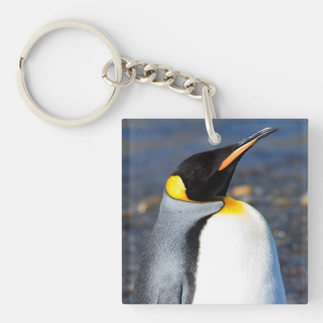 Penguin Portrait Schlüsselanhänger (Vorderseite)