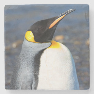 Penguin Portrait Steinuntersetzer