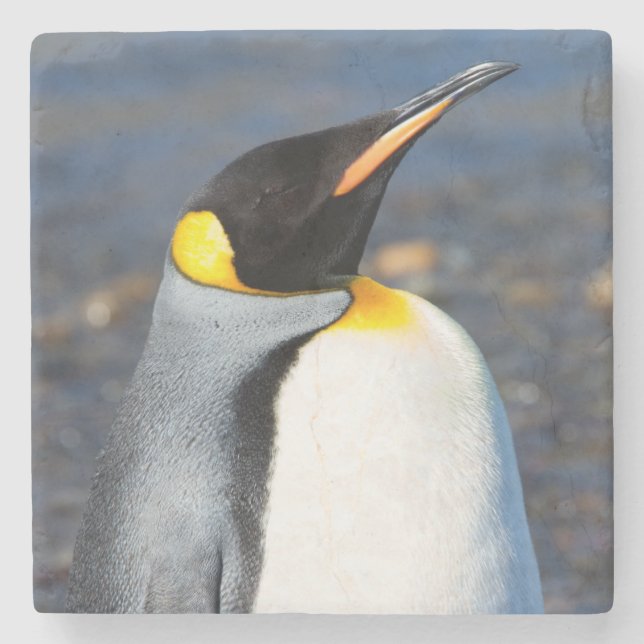 Penguin Portrait Steinuntersetzer (Vorderseite)