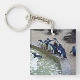 Penguin Relay: Pinguin-Schwarm-Schwimmteam, Schlüsselanhänger
