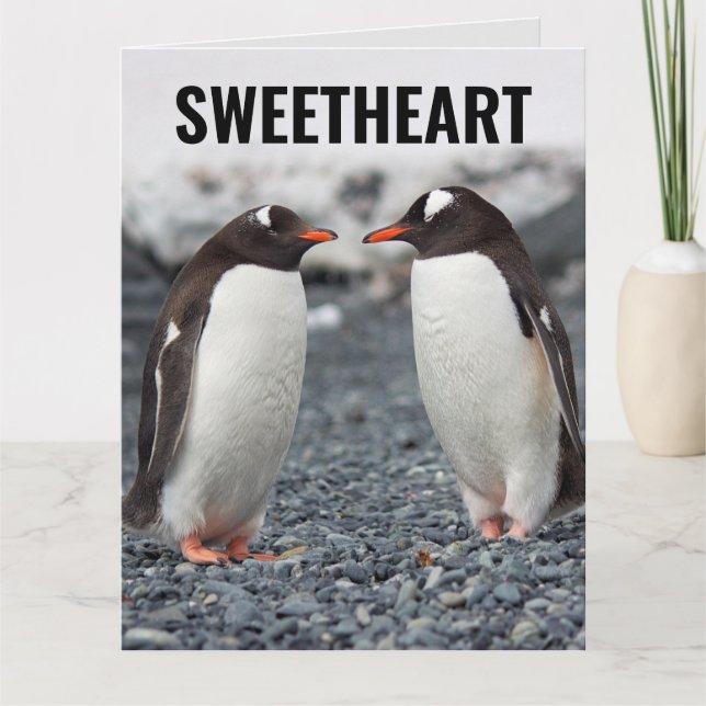 PENGUIN ROMANTISCHE LIEBE ÜBERSIEGT GROSSE KARTE (Vorderseite)