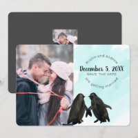Penguin Save the Date Foto