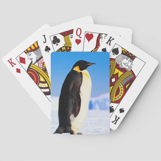 PENGUIN SPIELKARTEN (Rückseite)