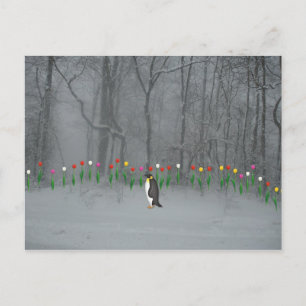 Penguin Spring Walk Postkarte