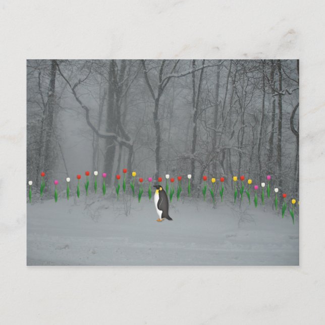 Penguin Spring Walk Postkarte (Vorderseite)