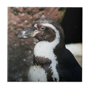 Penguin Tile Fliese