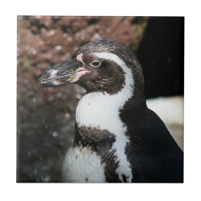 Penguin Tile Fliese (Vorderseite)