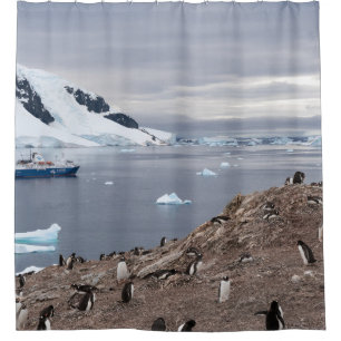 PENGUINS AM MEER DUSCHVORHANG