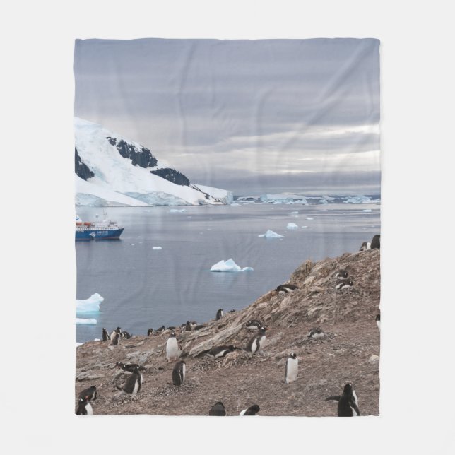 PENGUINS AM MEER FLEECEDECKE (Vorderseite)