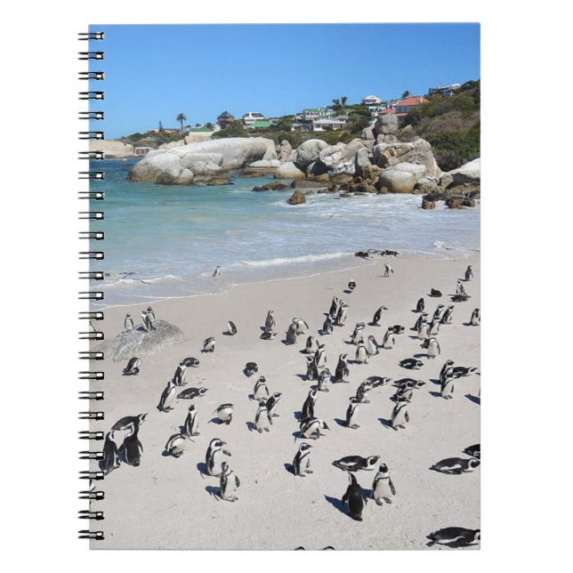 Penguins Boulders Beach | Südafrika Notizblock (Vorderseite)
