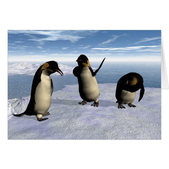 Penguins empereurs (Devant horizontal)