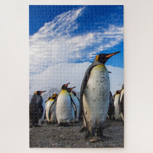 Penguins Marching Blue Sky (Vertikal)