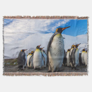 Penguins Marching Blue Sky Decke