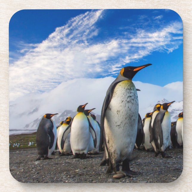 Penguins Marching Blue Sky Getränkeuntersetzer (Vorderseite)