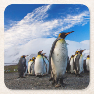Penguins Marching Blue Sky Rechteckiger Pappuntersetzer