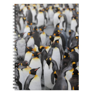 PENGUINS NOTIZBLOCK