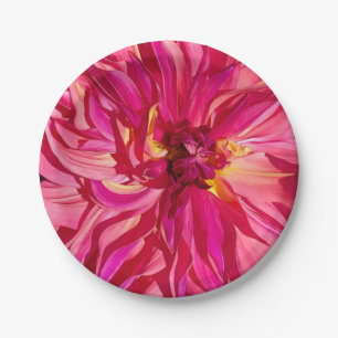 Penhill Dark Monarch Dahlia schließt Teller