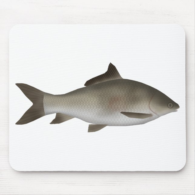 Peninsula-Karpfen Mousepad (Vorne)