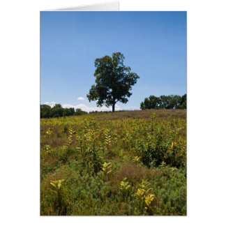Péninsule de rivière de Shagbark Hickory-Charles
