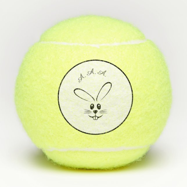 PENN Meisterschaft TENNISBÄLLE KUNDENGERECHT (Vorderseite)