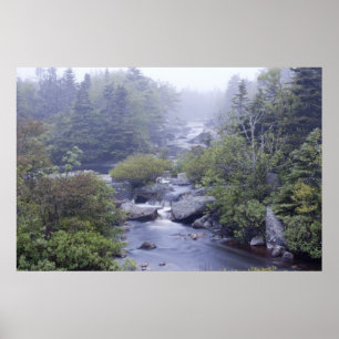 Pennant Brook - Kunstdruck Anfang Juni Poster